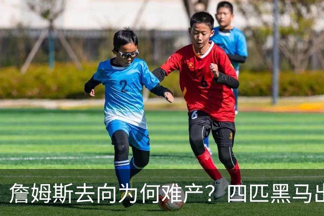 詹姆斯去向为何难产？四匹黑马出现加剧混乱